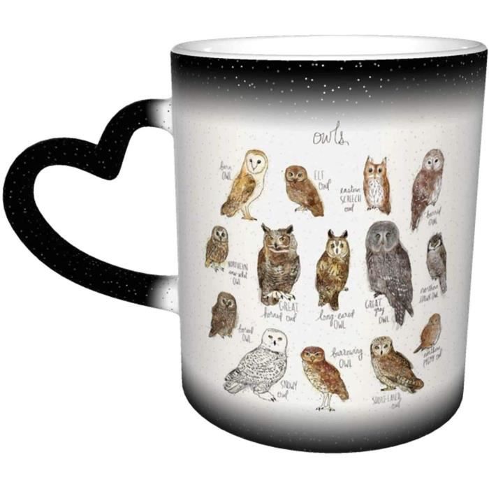 Grande Tasse Hibou Pacifica Home – 20 Oz (59 Cl), Céramique, Motif Automne/Halloween