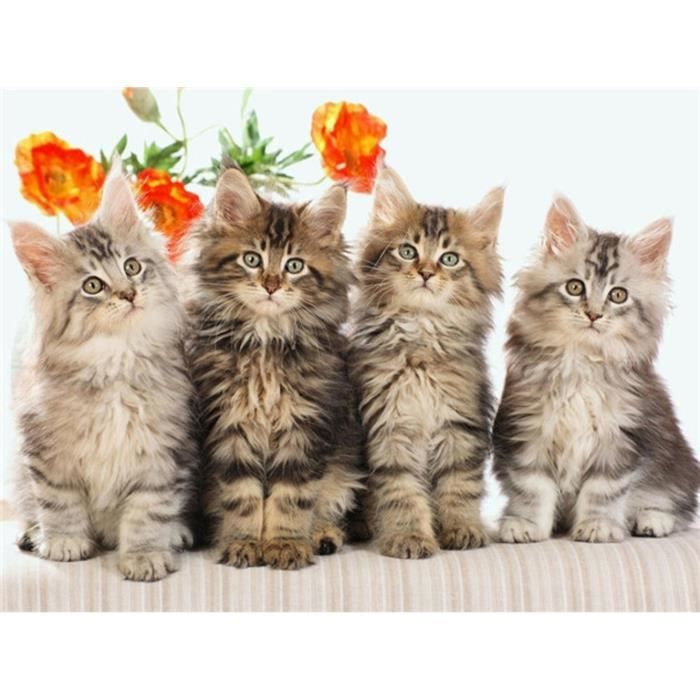 Kits De Peinture De Diamant 5D Pour Enfants And Adultes, Chat Et