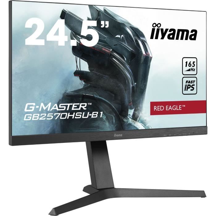 Iiyama G-Master - vue 2