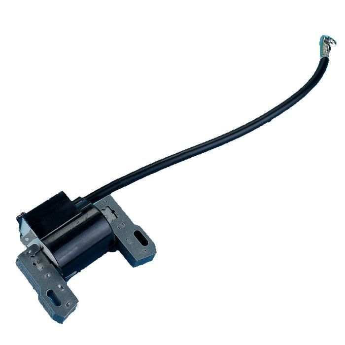 Pièce Moteur 492341 491312 Bobine Allumage Briggs & Stratton - Compatible Tondeuses 490586 492341 495859 Module Allumage