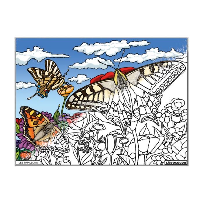SERICOLOR Tableau à Colorier En Relief Velours - Motif Papillon