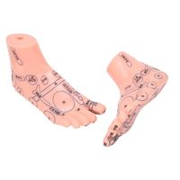Omabeta Modèle de réflexologie plantaire 1 paire de pieds humains modèle de point d'acupuncture réflexologie hygiene manuel