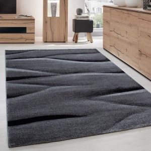 TAPIS Ayyildiz - Tapis de salon moderne designe courte p