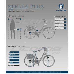 VÉLO DE VILLE - PLAGE Un vélo de ville pour femme de 26-28 pouces avec cadre en aluminium [28 puces, Or]