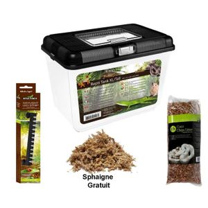 Vivarium Complete Care Guide How To Build Bantam Earth Aquascape Aquarium Vivarium Reptile Terrarium