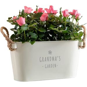 JARDINIÈRE - BAC A FLEUR Pot De Fleurs Gravé « Grandma'S Garden » - TRAHOO - Pots de fleurs - Grand-mère - Noir - Métal - Acier galvanisé