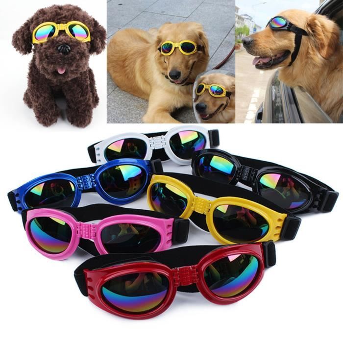 Chien Lunettes de soleil Crème solaire Coupe-vent - couleurs aléatoires