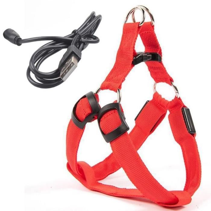 USB LED chien harnais animal de compagnie chat chien collier harnais gilet sécurité éclairé chien - Modèle: Rouge S - HOCWMJB23087