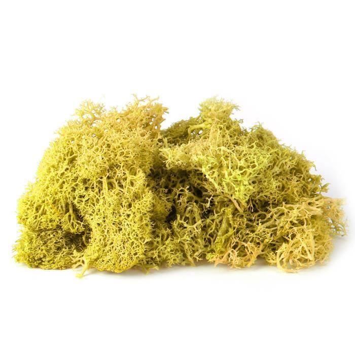Fleur Séchée Artificielle Mousse Objet Decoration JAUNE Bo05336