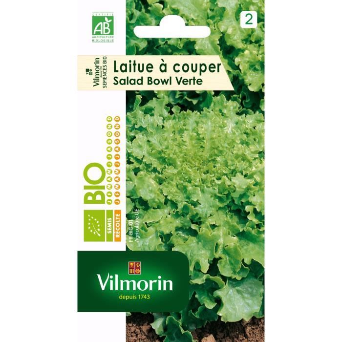 VILMORIN Sachet graines bio Laitue à couper SALAD BOWL Verte