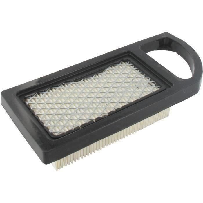 JARDIN PRATIC Filtre à air pour tondeuse - BRIGGS & STRATTON
