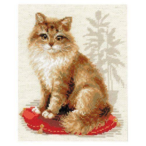 Riolis Kit Point De Croix Motif Chats Multicolore Loisirs Creatifs Planin Travaux D Aiguille