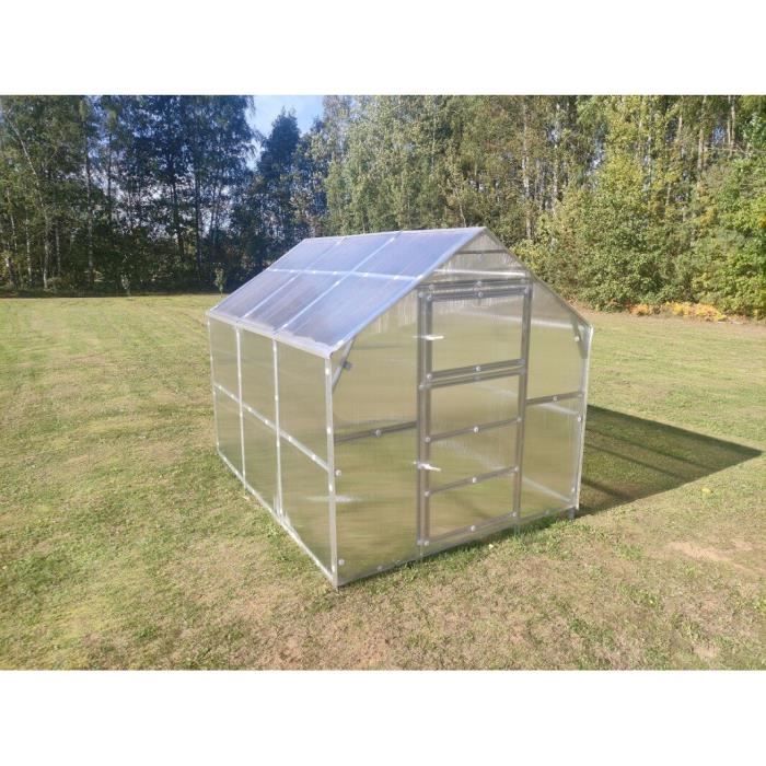 Serre En Acier Transparent 295 X 100 X 80 Cm Avec Porte Et Mini-serre - Serre de jardin Serre En Acier Transparent 295 X 100 X 80 Cm Avec Porte Et Mini-serre - Serre de jardin