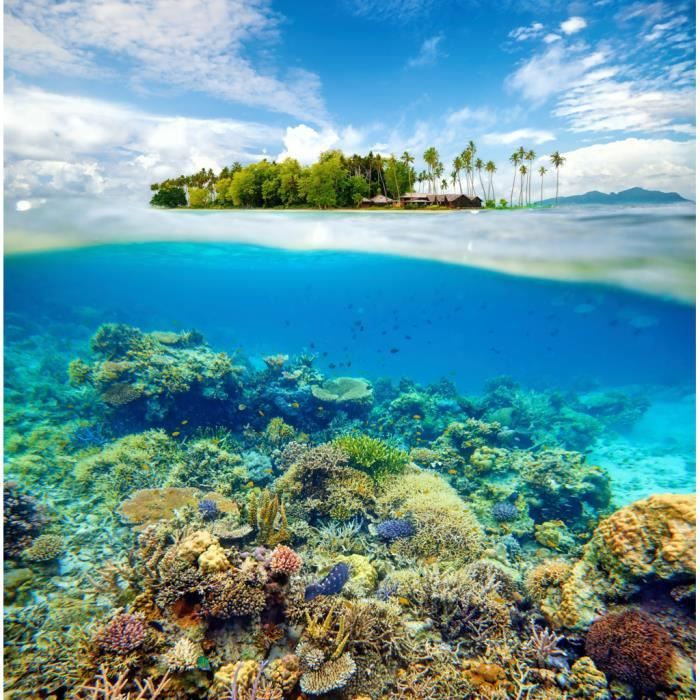 Poster Affiche Ile Deserte Fonds Marins Corail Mer Paradisiaque Epoustouflant 42cm X 42cm Cdiscount Maison Poster Affiche Ile Deserte Fonds Marins Corail Mer Paradisiaque Epoustouflant 42cm X 42cm Cdiscount Maison