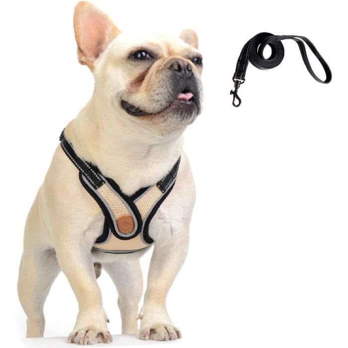 Ensemble de harnais pour chien en grille avec laisse, harnais pour chat, harnais réglable et respirant pour la marche, laisses pour animaux de compagnie, sangle de poitrine pour chiot - Chine Faisceau