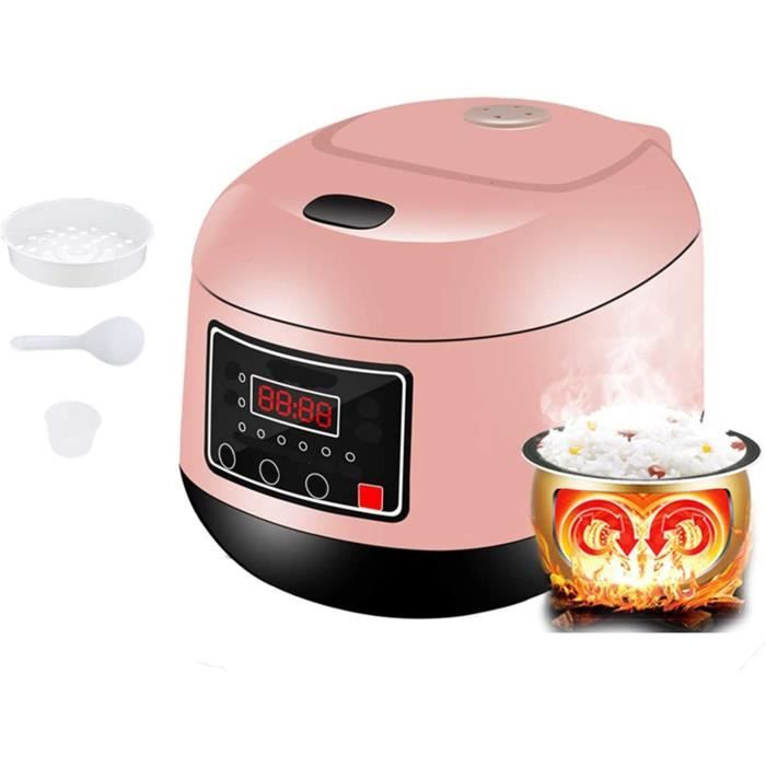 Cuideur de riz de camping: pot en acier inoxydable portable pour la