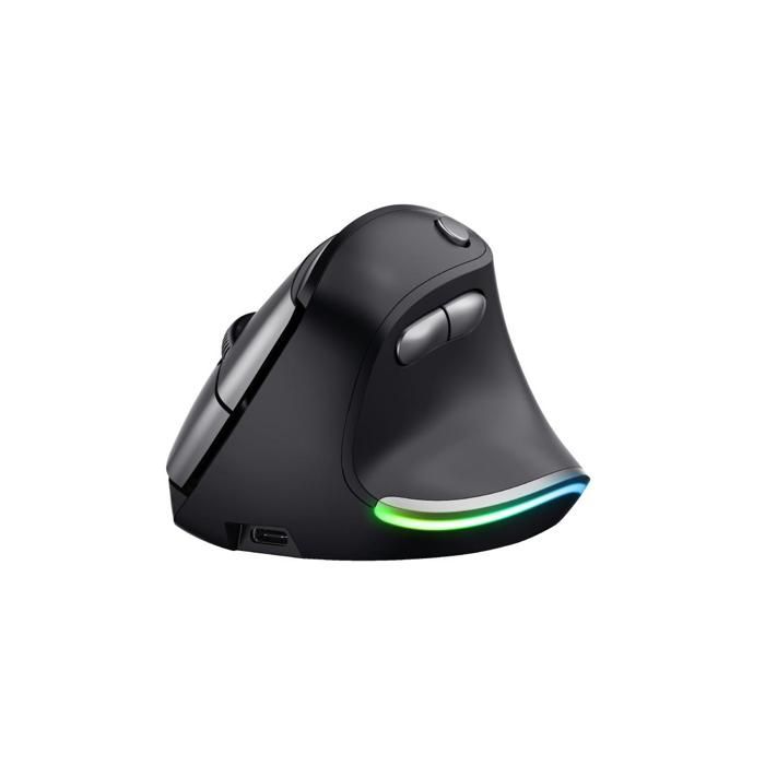 Trust Bayo Souris Verticale Ergonomique Sans Fil - Rechargeable - Conception Durable