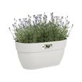 Pot de fleurs ELHO Vibia Campana Easy Hanger Medium - Blanc Soie - Balcon extérieur - L 24.1 x W 36 x H 26.5 cm-2