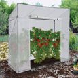 IDMARKET Serre de jardin blanche avec 2 fenêtres, porte zippée serre à tomates et serre d'hivernage-0