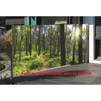 Brise-vue rétractable avec motif photo 160 x 300 cm, la forêt