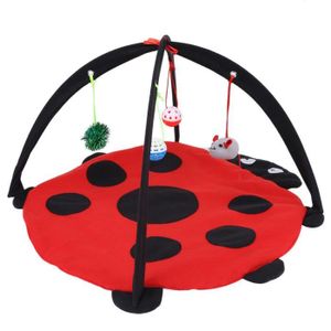 Tapis Jeu Pour Chat Cdiscount