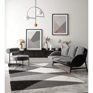 TAPIS Tapis de salon ou de chambre en moderne design | Motifs géométriques - Gris 120x160 | Intérieur - The Carpet PEARL