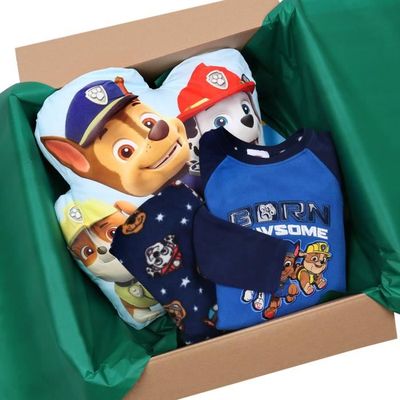 Ensemble pyjama PAT PATROUILLE enfant garçon 100% coton bleu Paw Patrol  Bleu - Cdiscount Prêt-à-Porter