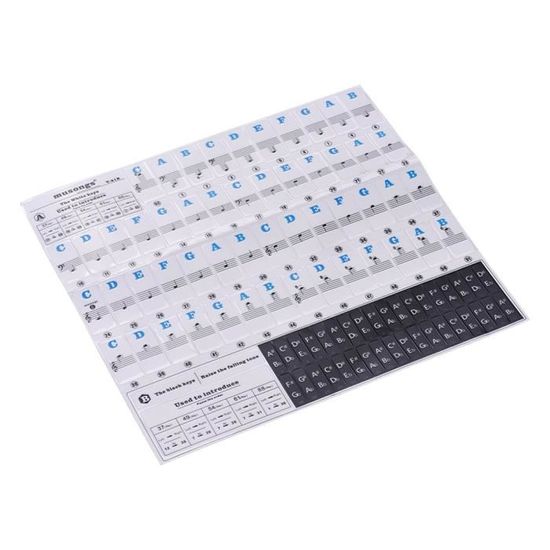 Autocollants Piano Transparents - Lot De 2 Pour 37 à 88 Touches | Faciles à Poser Et Retirer