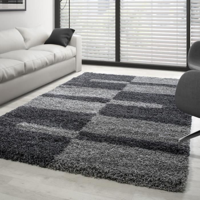 Tapis Gala Shaggy designe pile longue Gris-Gris Clair (160x230 cm)