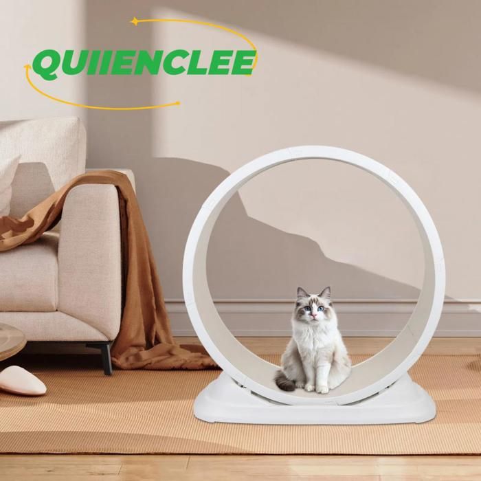 Roue dexercice pour chat - Tapis de course pour chat - 85*80*33cm - Blanc - Exercice pour chat - QUIIENCLEE
