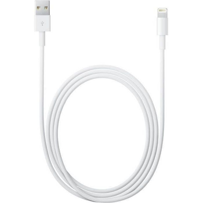 Cable USB chargeur Original Apple Lightning pour iPhone 6s/6/5/5s/5c/SE/7/7  Plus - original officiel 2M ( Blanc) - Cdiscount Téléphonie