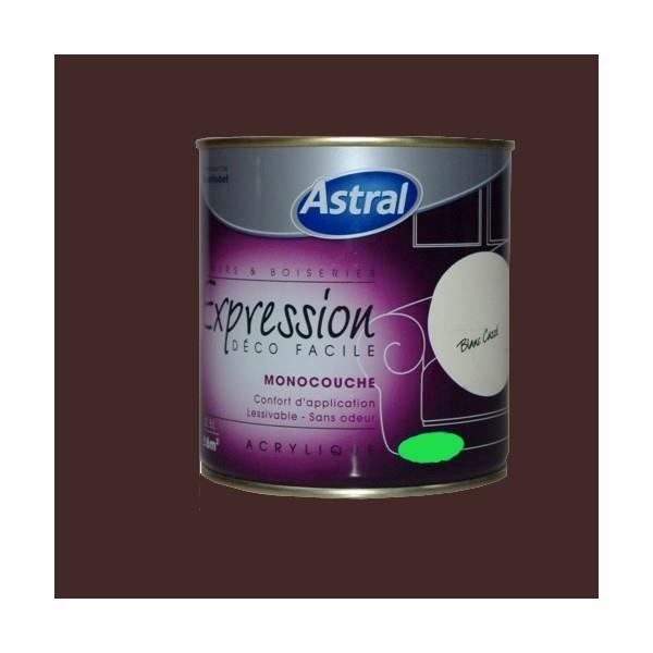 Peinture ASTRAL « Expression » Murs et Boiseries Ours brun Satin ...