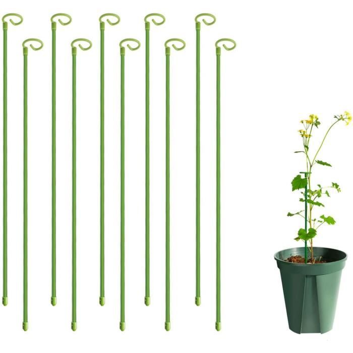 Acheter Tuteur pour plante grimpante en ligne - IndoorPoppies
