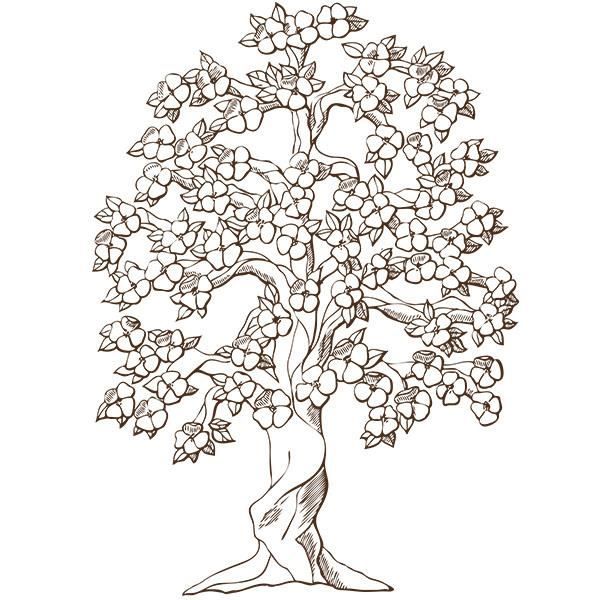 Sticker Arbre Cerisier En Fleur 80x58 Cm Marron Arb011 Achat Vente Stickers Soldes Sur Cdiscount Des Le 20 Janvier Cdiscount