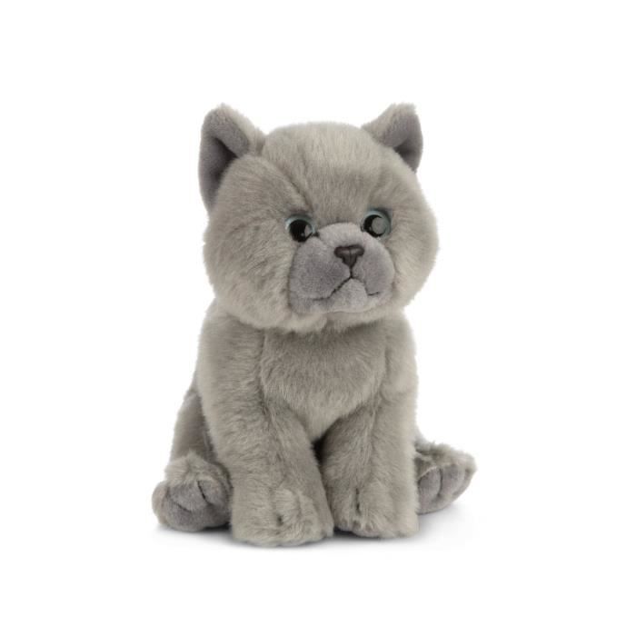 Peluche british shorthair Clearance
