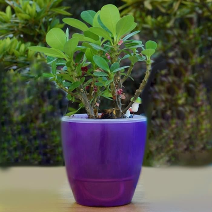 Pot de fleur violet Pots de fleurs paresseux automatique hydroponique  plantes en absorbant l'eau circulaire résine de en plastique - Cdiscount  Jardin