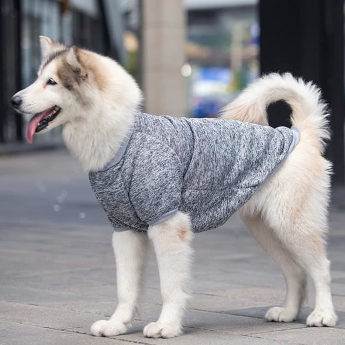 Chien vetements hotsell