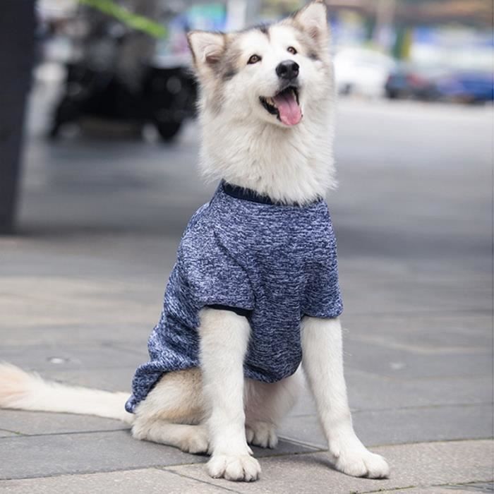 Grey 3XL Chien v tements animal d contract capuche manteau