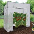 IDMARKET Serre de jardin blanche avec 2 fenêtres, porte zippée serre à tomates et serre d'hivernage-3