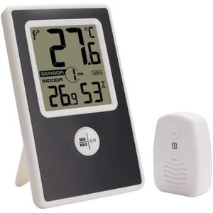 Thermomètre-hygromètre pour le jardin, la serre ou à apposer sur une fenêtre