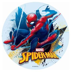 Gateau Spiderman Cdiscount
