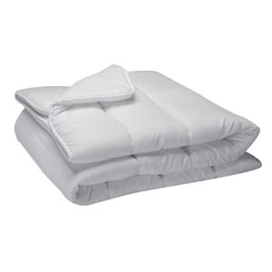 Couette 100x1 Cdiscount