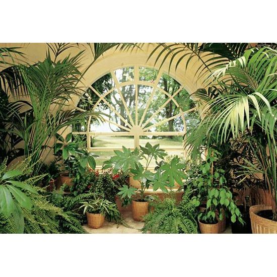 Poster Mural Geant Jardin D Hiver 366 X 254 Cm Achat Vente Affiche Poster Cdiscount