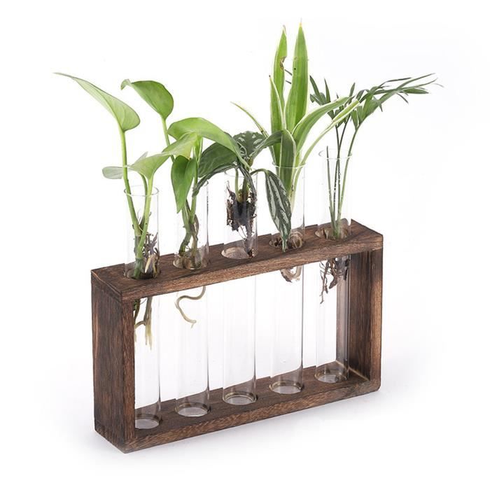 Sziqiqi Plante Station de Propagation Verre Vase - 12.5cm/21cm Haut Hydroponie Jardinière pour Table Petits Aquarium Vases avec Métal Créatif Oiseaux Noir Moderne Vase pour Salon Cuisine Bureau