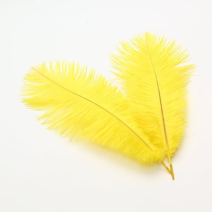 10 Plumes D'autruche Naturelles Blanches 25-30cm - Déco Mariage Ou Artisanat