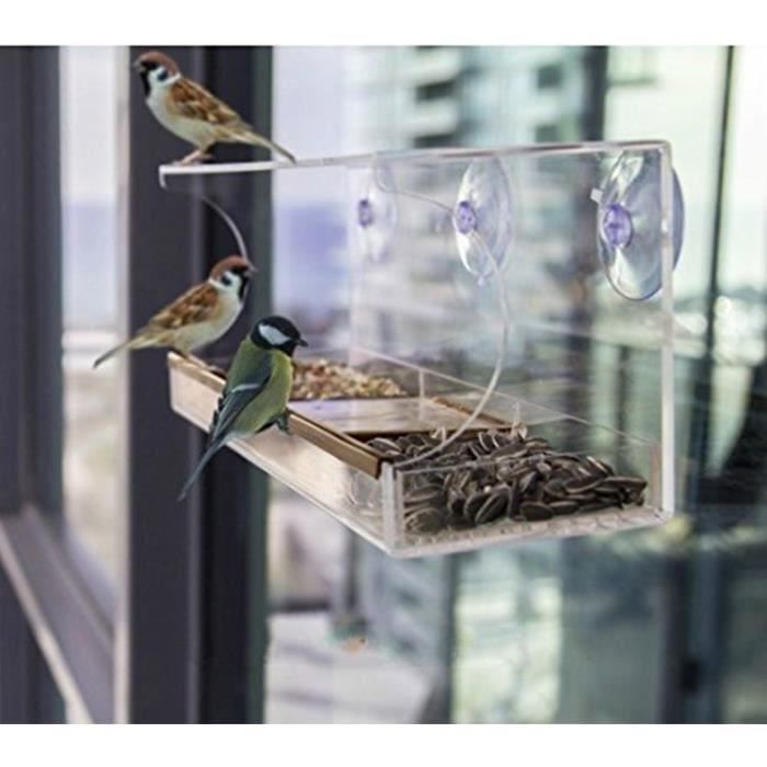 mangeoire a oiseaux transparente pour fenetre compartiment pour graine transparent amovible trous de drainage 3 ventouses rob cdiscount