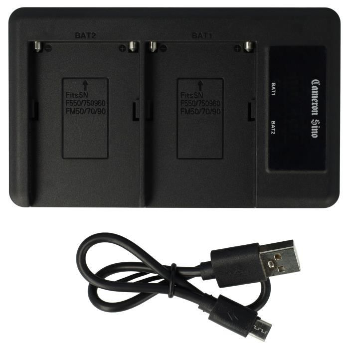 vhbw Chargeur double compatible avec Grundig SCENOS LCD6000HE caméra caméscope action-cam - Station + câble micro-USB