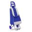 2 roues Pliable Shopping Trolley panier épicerie Sac léger poignée ergonomique 35 L