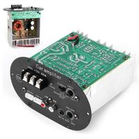 Carte Amplificateur Audio de Voiture 120W 12V Pure Full Tone Bass Subwoofer Core ampli de haut-parleur stéréo automatique - Aramo
