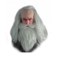 Déguisement barbe Magicien et jeu de perruque - HORRORSHOP - Homme - Adulte - Gris Argent / Blanc